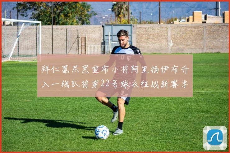 拜仁慕尼黑宣布小将阿里扬伊布升入一线队将穿22号球衣征战新赛季