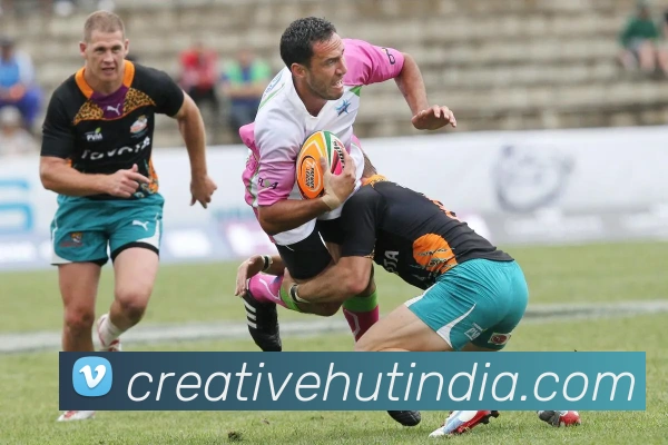 乐鱼app登录入口平台生态图